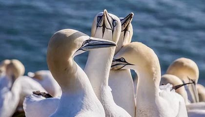 世界杯决赛比分-体育改革实质：完善治理体系 实现治理能力现代化